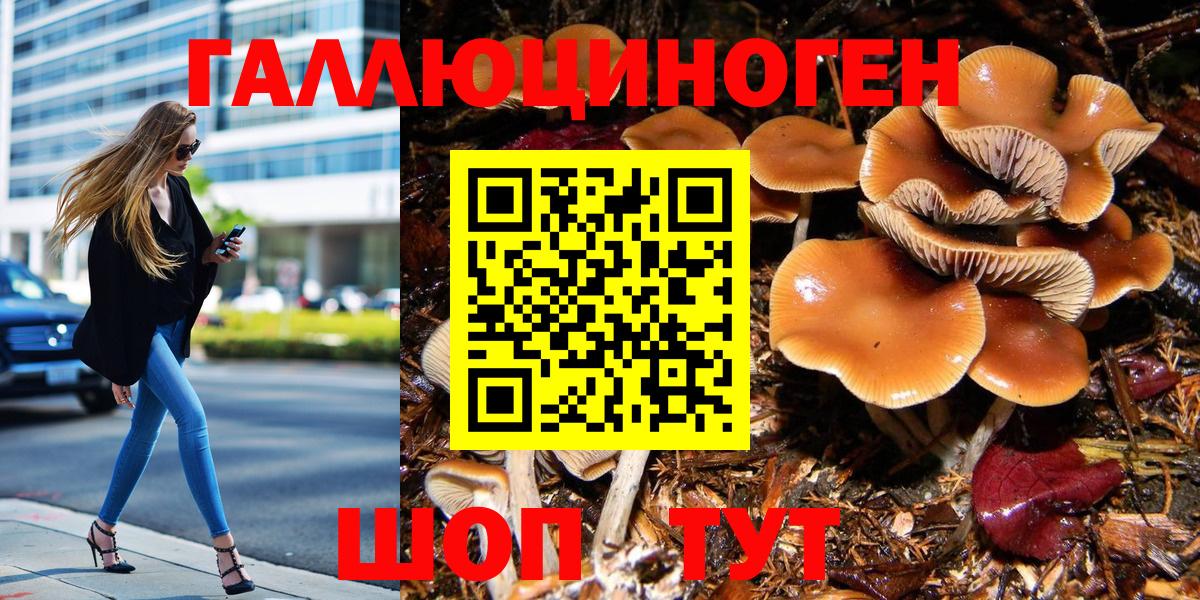 Галлюциногенные грибы GOLDEN TEACHER Геленджик