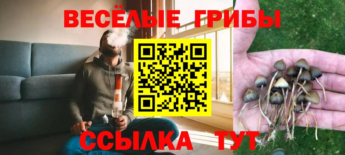 Псилоцибиновые грибы Psilocybe  Вход с VPN  Геленджик  Галлюциногенные грибы мухоморы 
